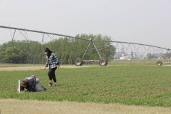 Agriculture and Agri-Food Canada in Swift Current - Photo by Lisa Gunether