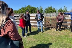 Carla Borsa Cattle and Sheep Farm - photo by Marlene Hursh
